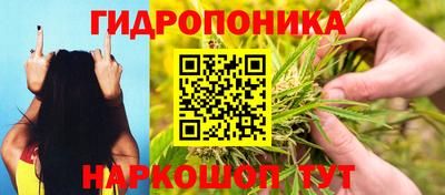 мяу мяу мука Бузулук