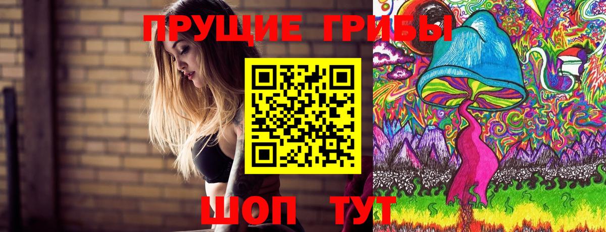 Красногорск  Псилоцибиновые грибы MAGIC MUSHROOMS  Вход с VPN 
